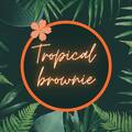 Tropical Brownie