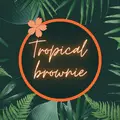 Tropical Brownie