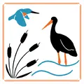 Birds Apartments