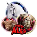 Cirkus Aleš