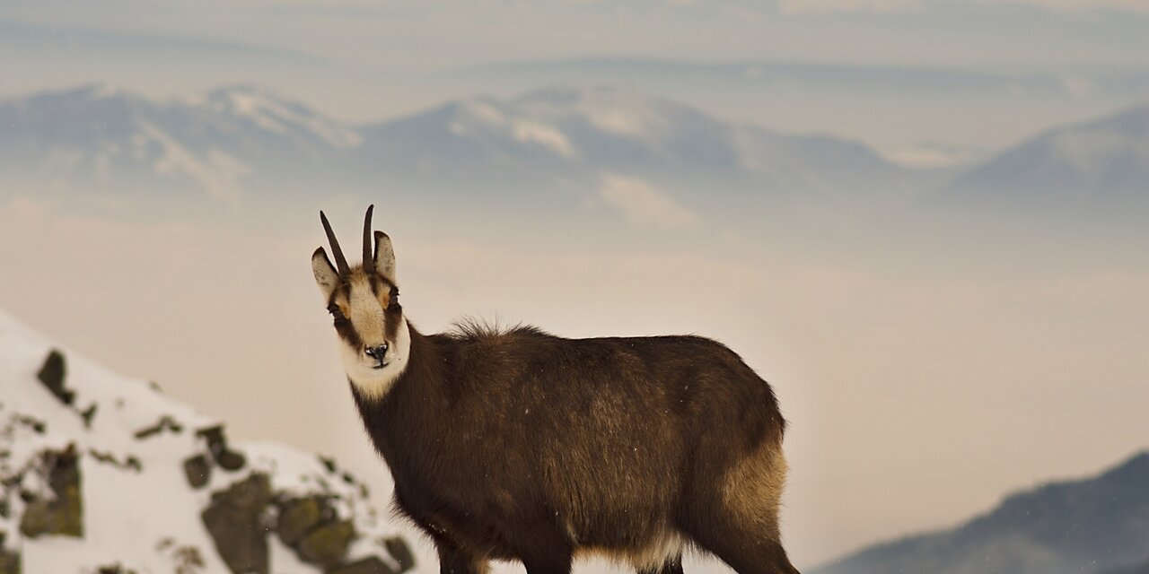 Nízke Tatry