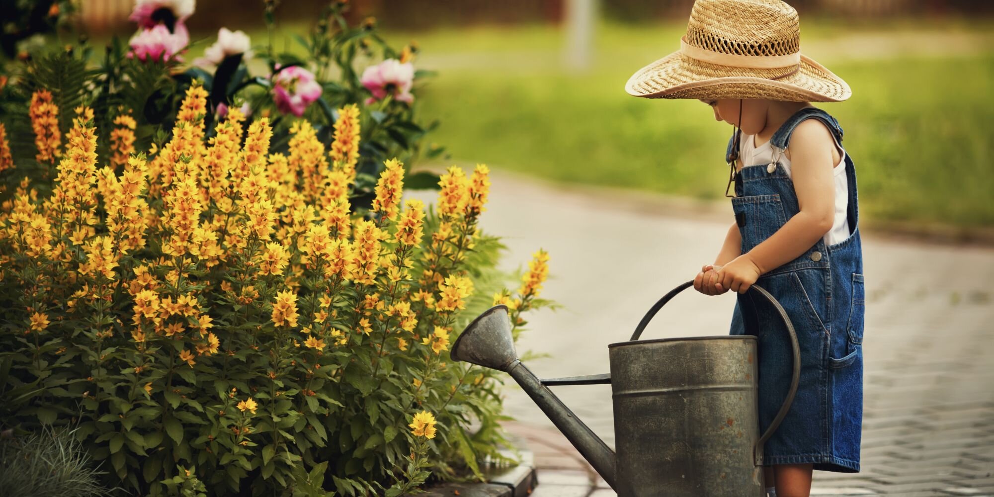 She is watering