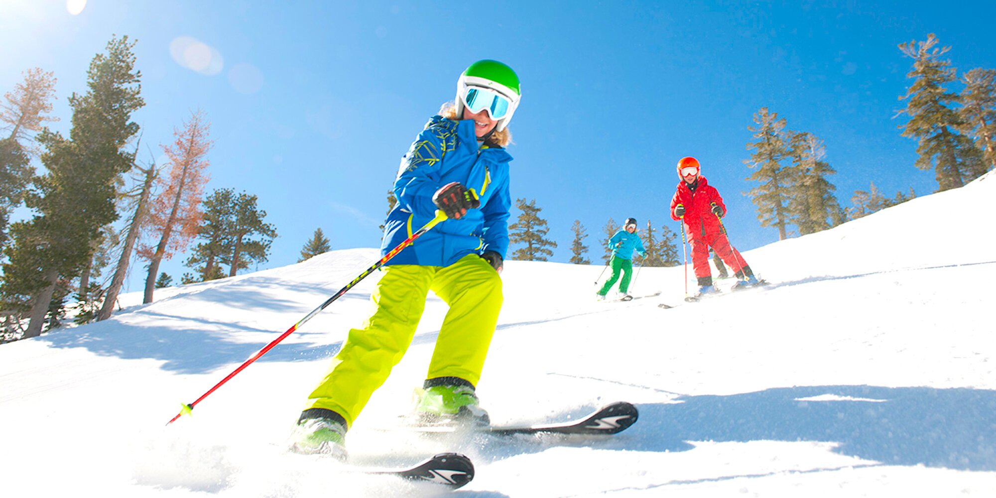 Ostrich Snow Skiing