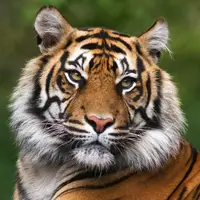 Zoo Tábor