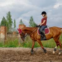 Horse Club Nitra - Lužianky