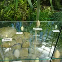 Kvetinové záhrady Florarium Hirschstetten
