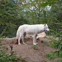 Zoo Brno