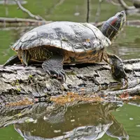 Zoo Brno
