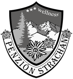 Wellness Penzión*** Strachan