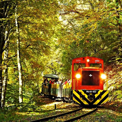 Lesná železnička - Szilvásvárad