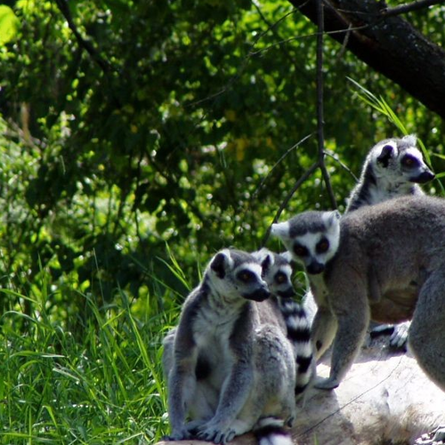 ZOO Jihlava