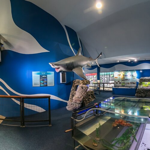 Múzeum Panónskeho mora - Pannon tenger múzeum v Miškolci