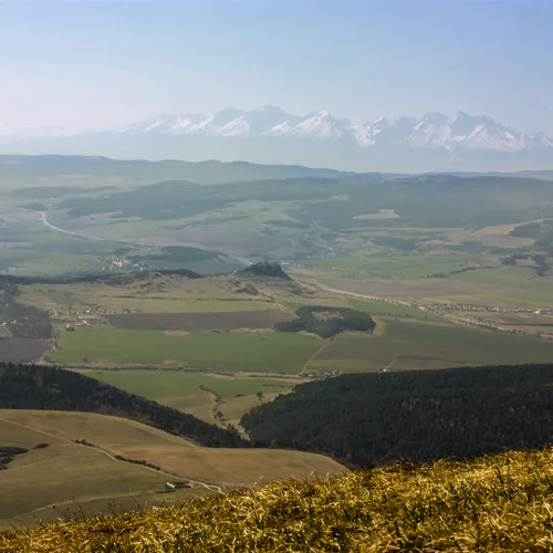 Sľubica