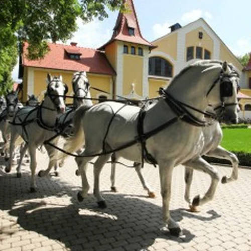 Národný žrebčín Topoľčianky
