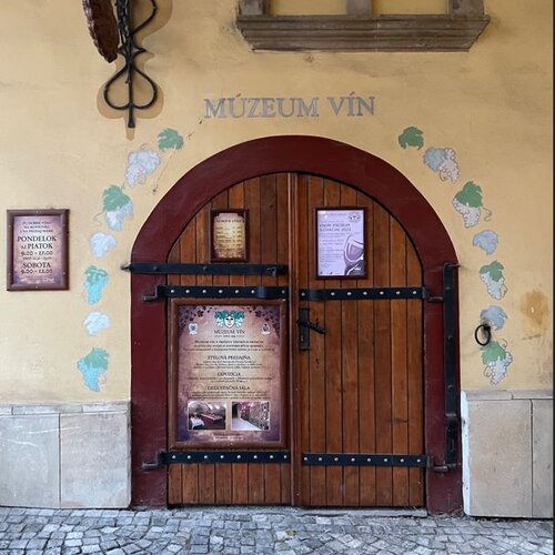 Múzeum vín