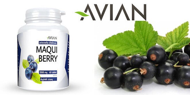 Najsilnejší antioxidant na svete Maqui Berry