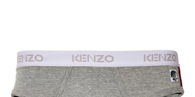 Pánske šedé slipy Kenzo s ozdobnou výšivkou