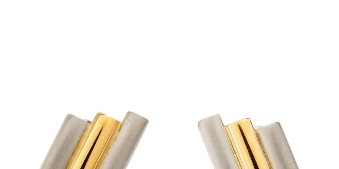 Dámske titánové náušnice Danish Design so zlatými detailami