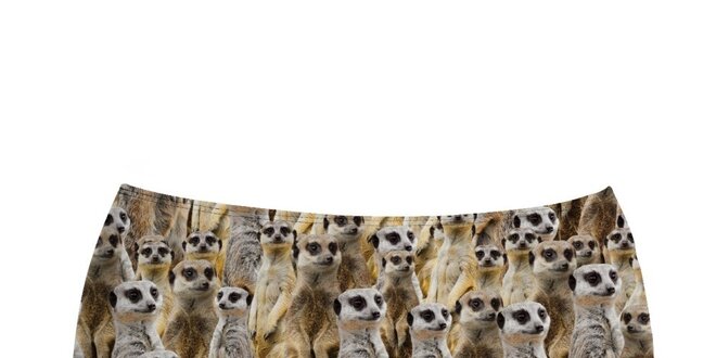 Dámske plavkové nohavičky so surikatami Mr. GUGU & Ms. GO