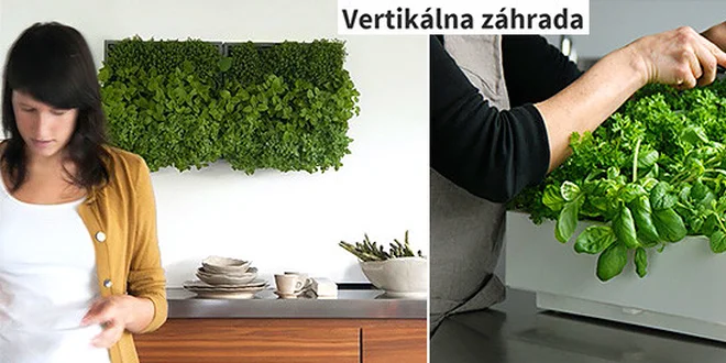 Vertikálna záhrada pre osvieženie vášho domu
