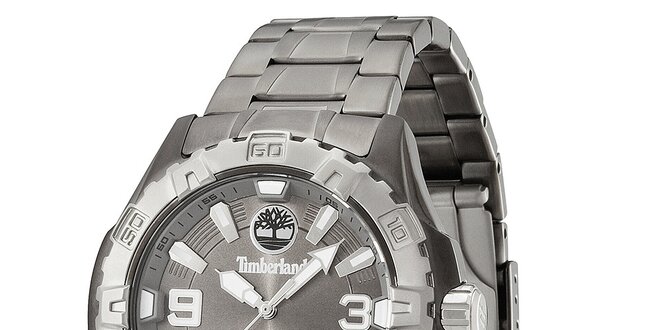 Pánske šedé oceľové hodinky Timberland