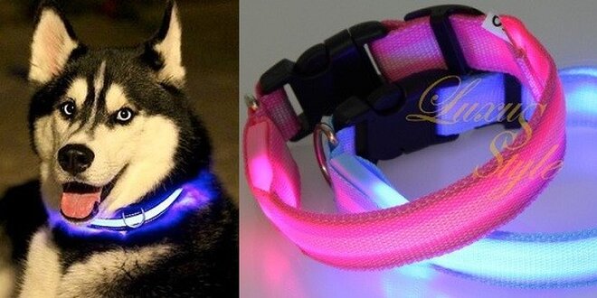 Skvelé a jedinečné svietacie LED obojky pre vášho psíka