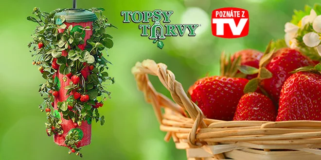 Topsy Turvy na pestovanie jahôd