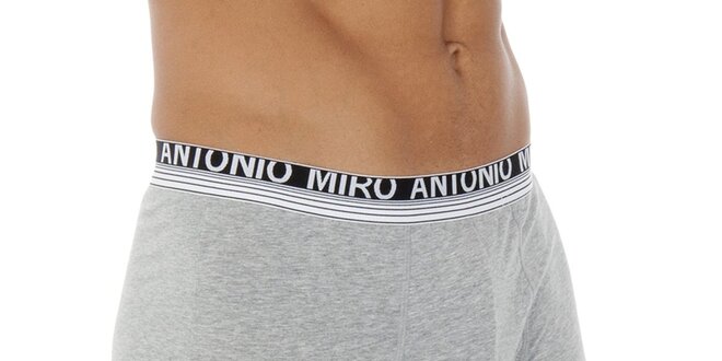 Pánske šedé boxerky Antonio Miro