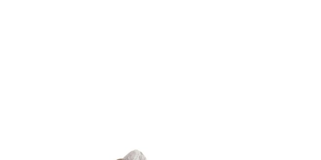Detské biele kožené sandálky Billowy s šedým zdobením