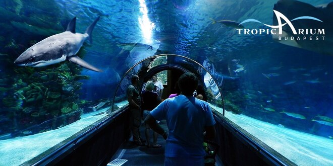 Budapešť a Tropicarium - z celého Slovenska