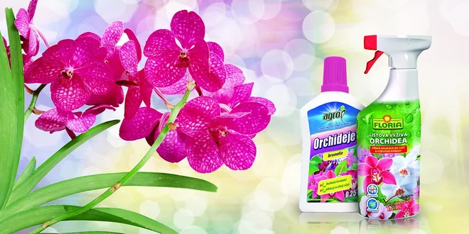 Starostlivosť o orchidey (hnojivo a listová výživa)