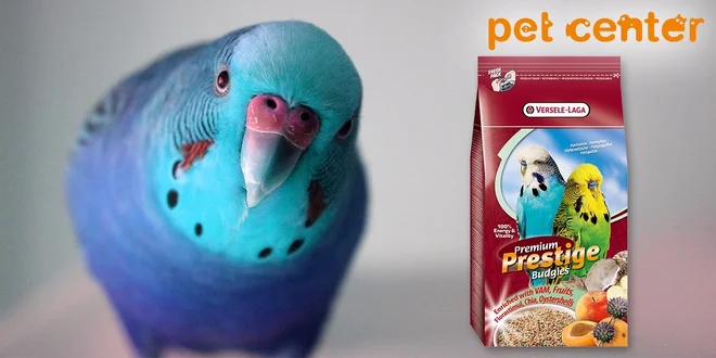 Kompletné krmivo Prestige Premium pre andulky 1 kg