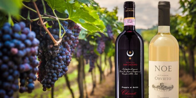 Spoznajte tie najlepšie vína z malých talianských vinárstiev