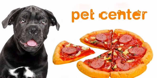 Pizza pre psích gurmánov od Huhubamboo