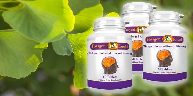 Ginkgo biloba s kórejským ženšenom 60 tabl.