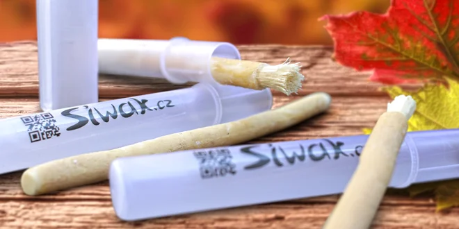 Späť ku koreňom - prírodná kefka Siwak pre zdravé zuby