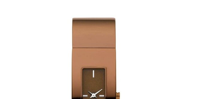 Dámske hnedé oceľové hodinky DKNY