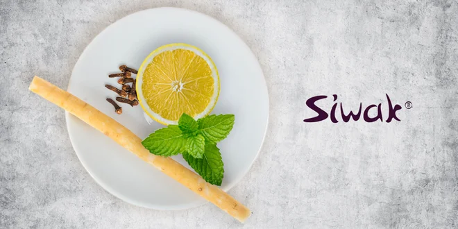 Prírodná kefka Siwak pre zdravé zuby