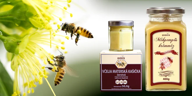Včelia materská kašička: prírodné posilnenie organizmu