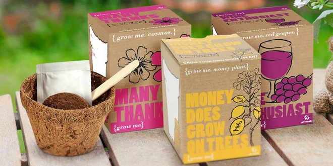 Grow me set na pestovanie papričiek, čaju alebo bazalky