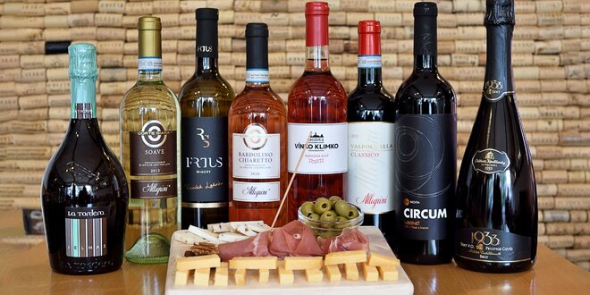 Profesionálna degustácia vín so someliérom
