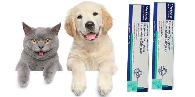 Enzymatická zubná pasta pre psov a mačky