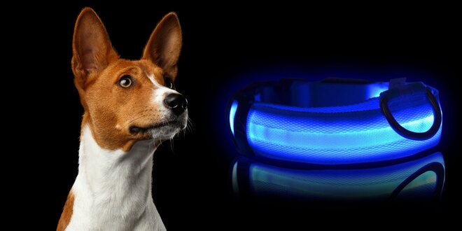 LED svietiaci obojok pre psíka