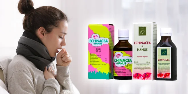 Echinacea pre obranyschopnosť organizmu