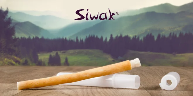 Prírodná kefka Siwak pre zdravé zuby