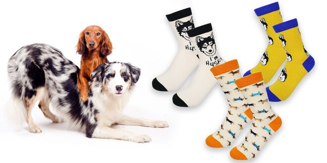 Dámske ponožky so psím motívom