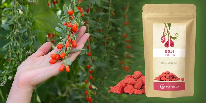 BIO Goji bobule
