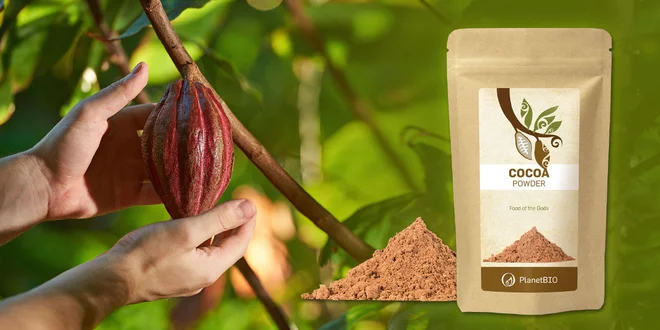 BIO Kakao