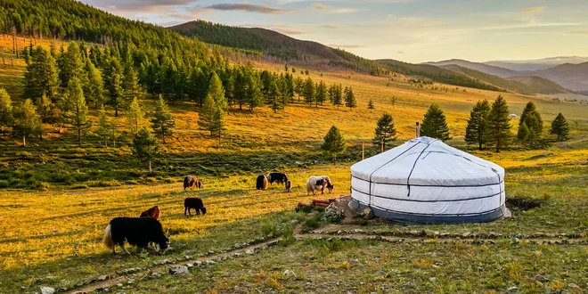 Netradičné bývanie: Mongolské jurty na kľúč