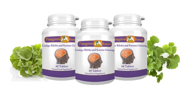 Ginkgo biloba s kórejským ženšenom 60 tabl.